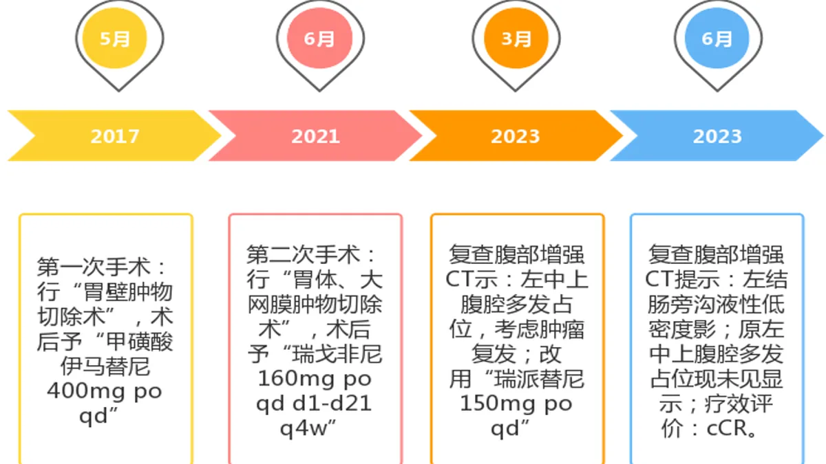 瑞派替尼片剂包装和说明书，显示随餐服用建议